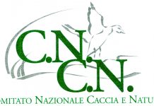 Cncn per gli armieri